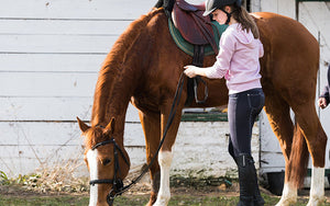 Horse Back Riding