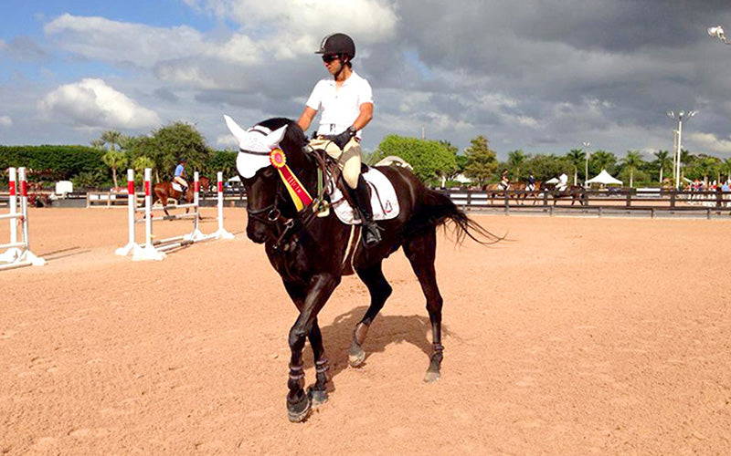 Horse Back Riding – Miami Lifestyle VIP