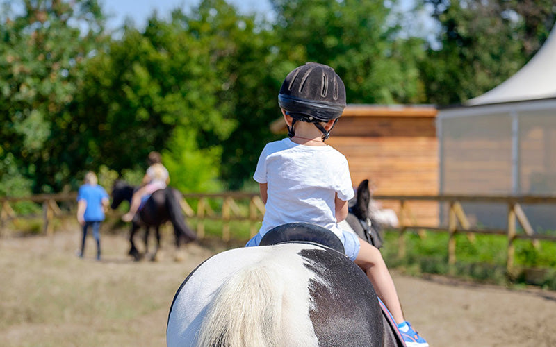 Horse Back Riding – Miami Lifestyle VIP